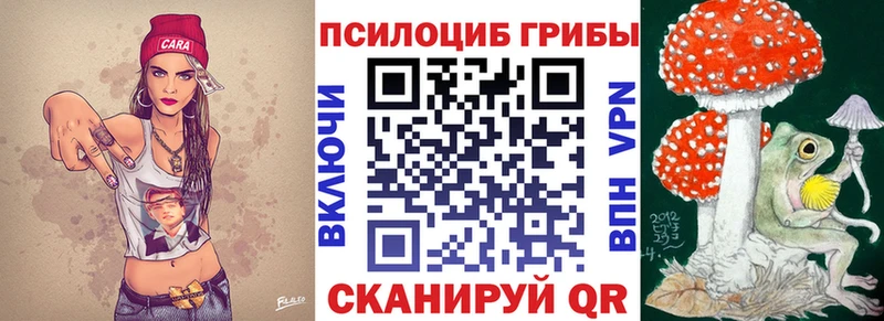 купить наркоту  Плавск  Псилоцибиновые грибы мицелий 